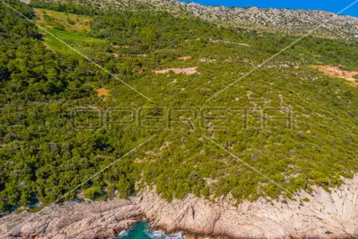 Agricultural land 40 000 m², Potomje, Pelješac and sea view - 2