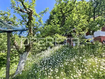 Ferienhaus 126 m², Halić - Ruhe und Privatsphäre im Grünen - 18