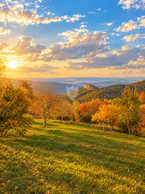 Building plot 848 m², Motovun - panoramic views - 2