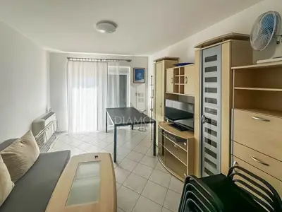 Novigrad, okolica, kuća sa 6 apartmana na 350m od mora - 13