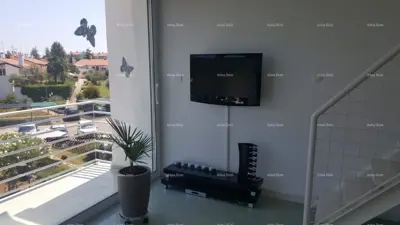 Nähe zu Novigrad, modernes Penthouse in Maredi! - 4