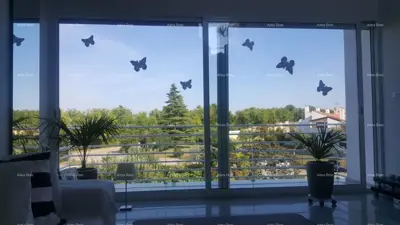 Nähe zu Novigrad, modernes Penthouse in Maredi! - 17