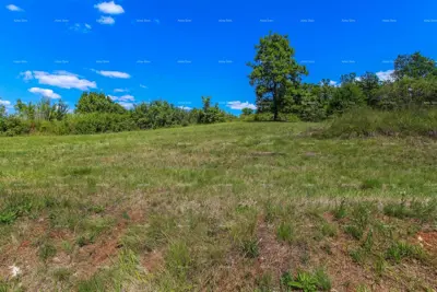 Baugrundstück 1 587 m², Oprtalj, Panoramablick - 4