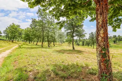 Building plot 1,219 m², Poreč - edge of the construction zone - 4