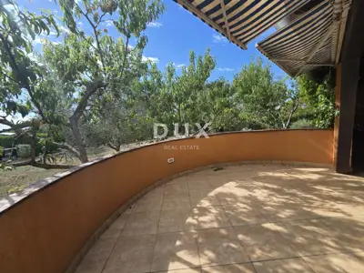Istria, Vodnjan, restaurant, covered terrace, 544 m² - 16