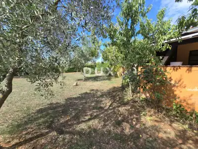 Istria, Vodnjan, restaurant, covered terrace, 544 m² - 21