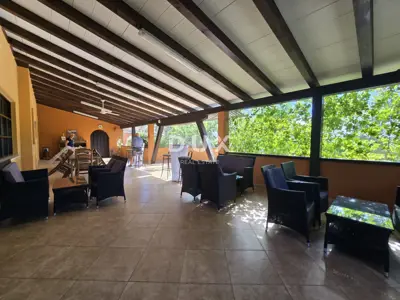 Istria, Vodnjan, restaurant, covered terrace, 544 m² - 15