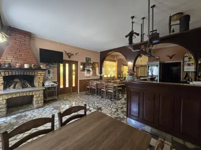 Istria, Vodnjan, restaurant, covered terrace, 544 m² - 9