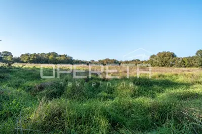 Landwirtschaftsfläche 938 m², Šišan - in der Nähe der Strände - 6