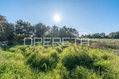 Landwirtschaftsfläche 938 m², Šišan - in der Nähe der Strände - 5