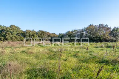 Landwirtschaftsfläche 938 m², Šišan - in der Nähe der Strände - 4