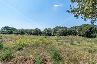 Građevinsko zemljište 6 699 m², Medulin, ravno i pravilnog oblika - 2