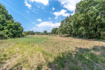 Građevinsko zemljište 6 699 m², Medulin, ravno i pravilnog oblika