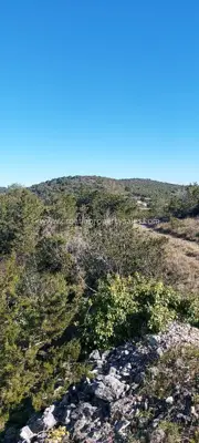 Landwirtschaftsfläche 11.607 m², Insel Vis - in Meeresnähe - 8