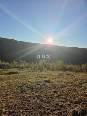Building plot, Motovun - Brkač, open view and privacy - 10