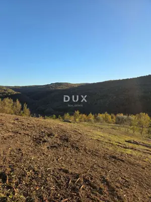 Building plot, Motovun - Brkač, open view and privacy - 8