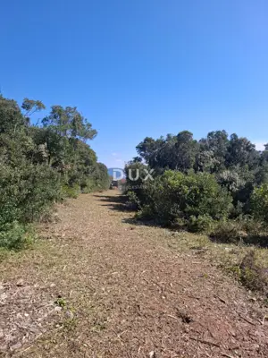 Grundstück zum Kauf in Pavićini