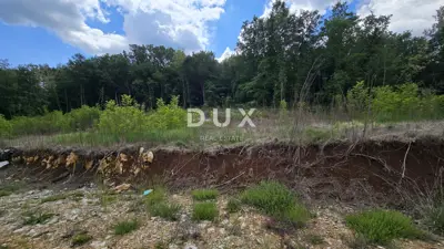ISTRA, PIĆAN - Grundstück zum Bauen im authentischen Istrien - 17
