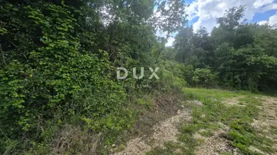 ISTRA, PIĆAN - Grundstück zum Bauen im authentischen Istrien - 22
