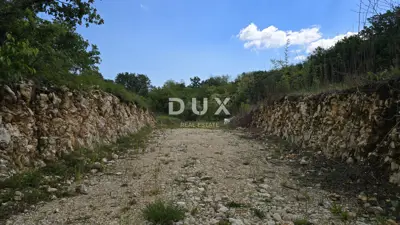 ISTRA, PIĆAN - Grundstück zum Bauen im authentischen Istrien - 19