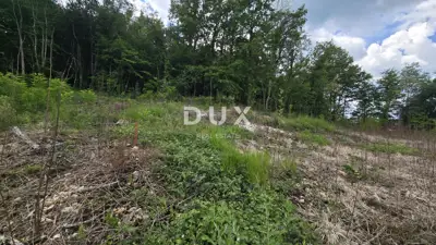 ISTRA, PIĆAN - Grundstück zum Bauen im authentischen Istrien - 12