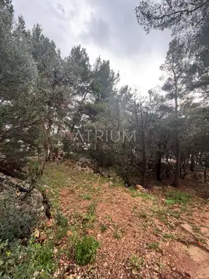 Građevinsko zemljište 1.400 m², Zavala - 100 m od mora - 4