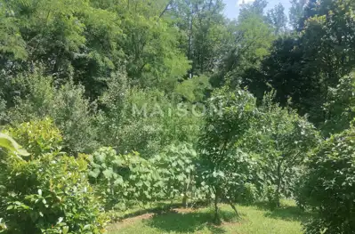 Haus 120 m², Dubranec - angelegter Garten und Obstgarten - 3