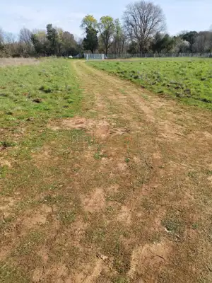 Landwirtschaftsfläche 570 m², Ližnjan - Rand des Ortes - 3