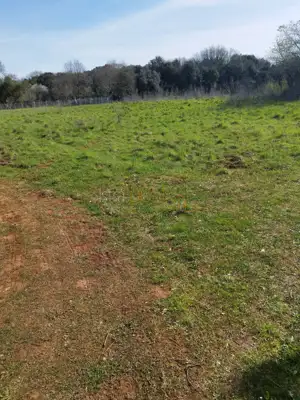 Poljoprivredno zemljište 570 m², Ližnjan - rub naselja
