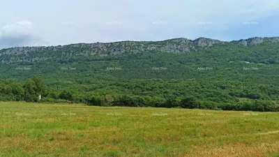 Building land 1 650 m², Buzet - quiet location - 3