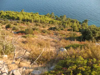 Building plot, Hvar, Hvar – tourist potential - 4