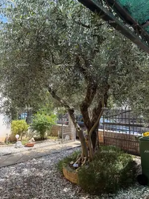 Zu verkaufen: Doppelhaushälfte in Poreč, 2 km vom Meer entfernt. - 17