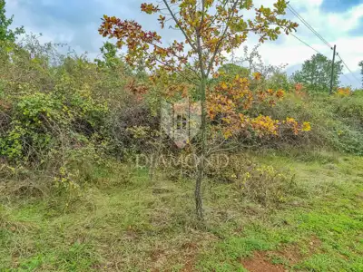 Zemljište 12.232 m², Poreč - rub mjesta i blizina struje - 3