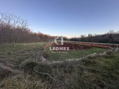 Poljoprivredno zemljište u Novigradu, Istarska