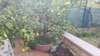 Wohnung 68 m², Pula Zentrum, Terrasse und Garten - 9