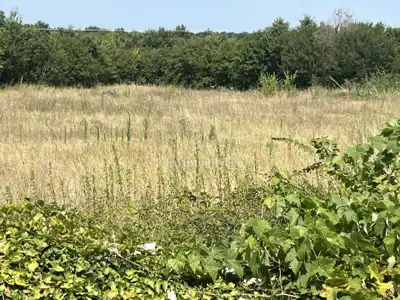 Građevinsko zemljište 506 m², Vodnjan - projekt i dozvola - 3