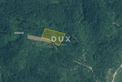 Gračišće, šumsko zemljište 8.200 m², pravilnog oblika