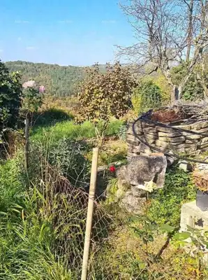Stone house with garden and started renovation – surroundings of Pazin - 4