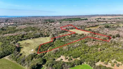 GALIŽANA - Prodaje se veliko poljoprivredno zemljište – 20.498 m², odlična lokacija - 6