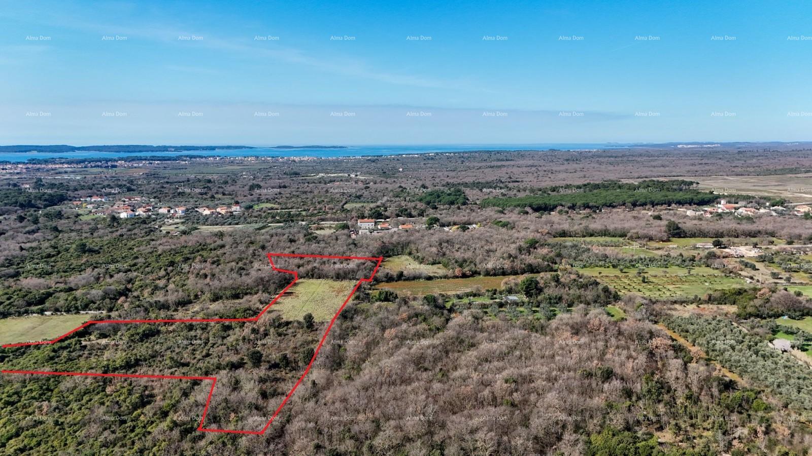 GALIŽANA - Prodaje se veliko poljoprivredno zemljište – 20.498 m², odlična lokacija