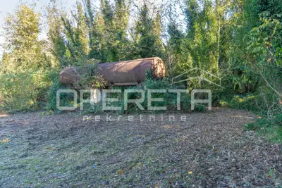 Poreč - atraktivno poljoprivredno zemljište s infrastrukturom i maslinikom - 6