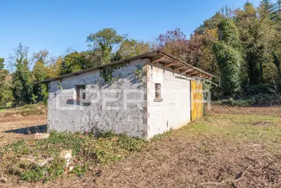 Poreč - atraktivno poljoprivredno zemljište s infrastrukturom i maslinikom - 3