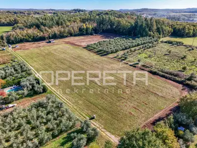 Poreč - atraktivno poljoprivredno zemljište s infrastrukturom i maslinikom - 5