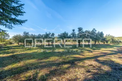 Poreč - atraktivno poljoprivredno zemljište s infrastrukturom i maslinikom - 4