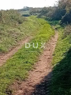 Agricultural land, Gornje Raštane - access road and well - 3