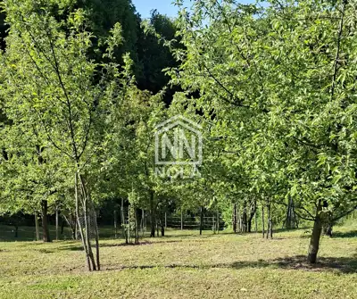 Kuća 130 m², Zalužje kod Lepoglave - mir i priroda - 2