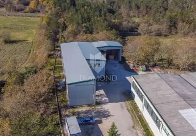 Business hall 600 m², Buje - warehouse and parking - 8