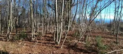 Baugrundstück 6 432 m², Bregi - Panoramablick auf Kvarner - 6
