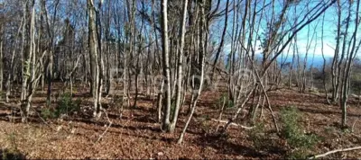 Baugrundstück 6 432 m², Bregi - Panoramablick auf Kvarner - 6