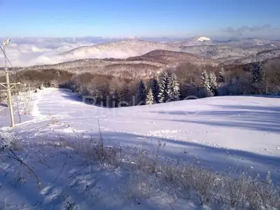 Planinski centar 39.000 m², Dedin - panoramski pogled i osama - 11